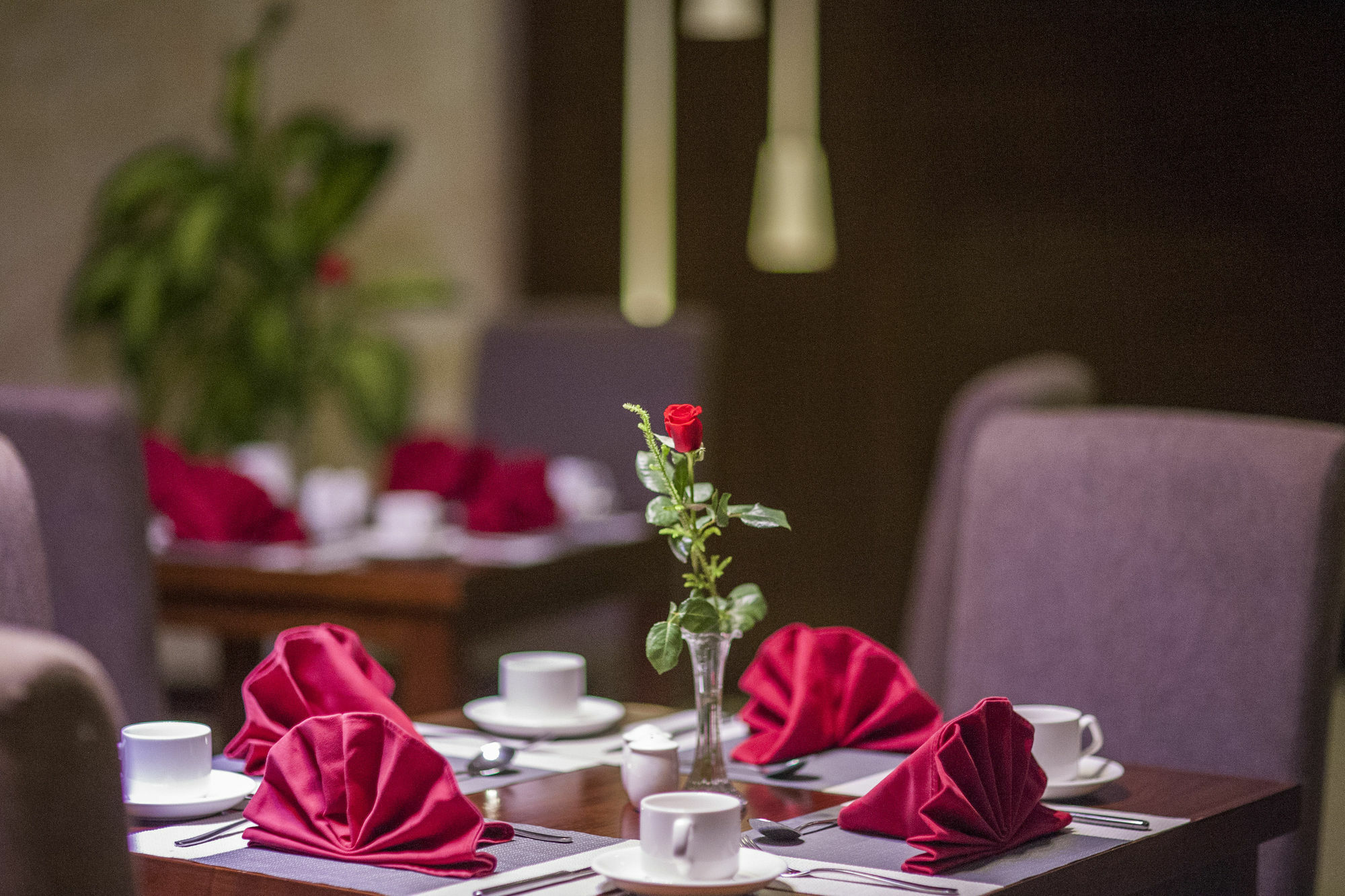 Muong Thanh Grand Quang Tri Hotel Екстер'єр фото